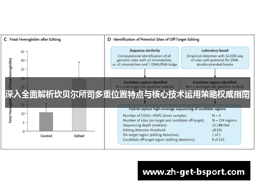 深入全面解析坎贝尔所司多重位置特点与核心技术运用策略权威指南