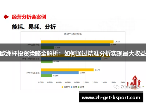 欧洲杯投资策略全解析：如何通过精准分析实现最大收益