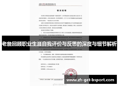 老詹回顾职业生涯自我评价与反思的深度与细节解析